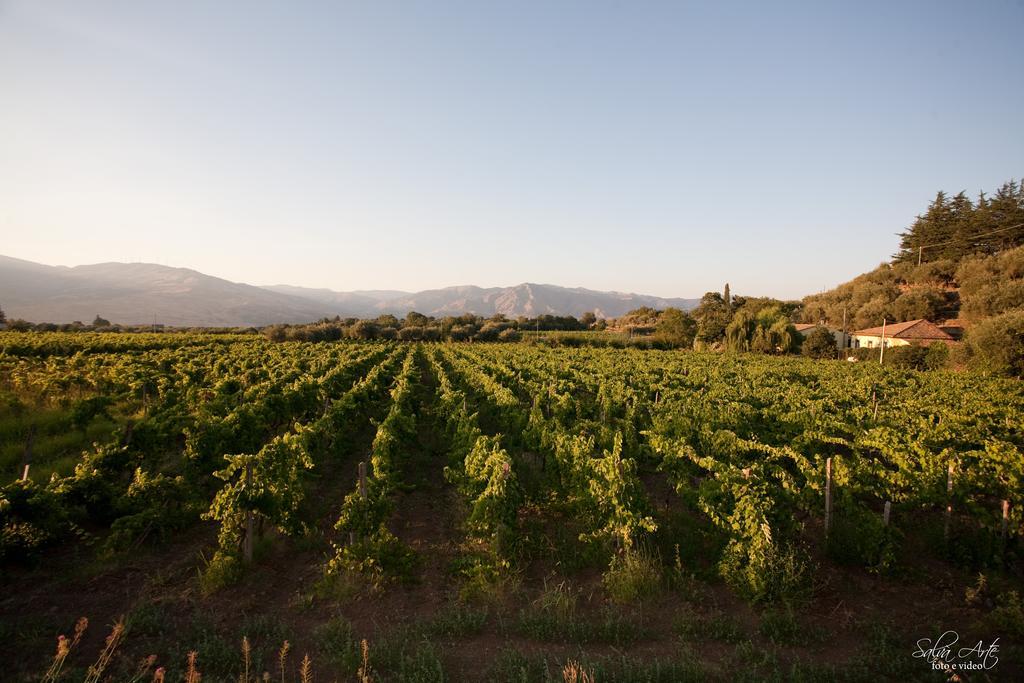 L'Antica Vigna Villa Рандацо Екстериор снимка